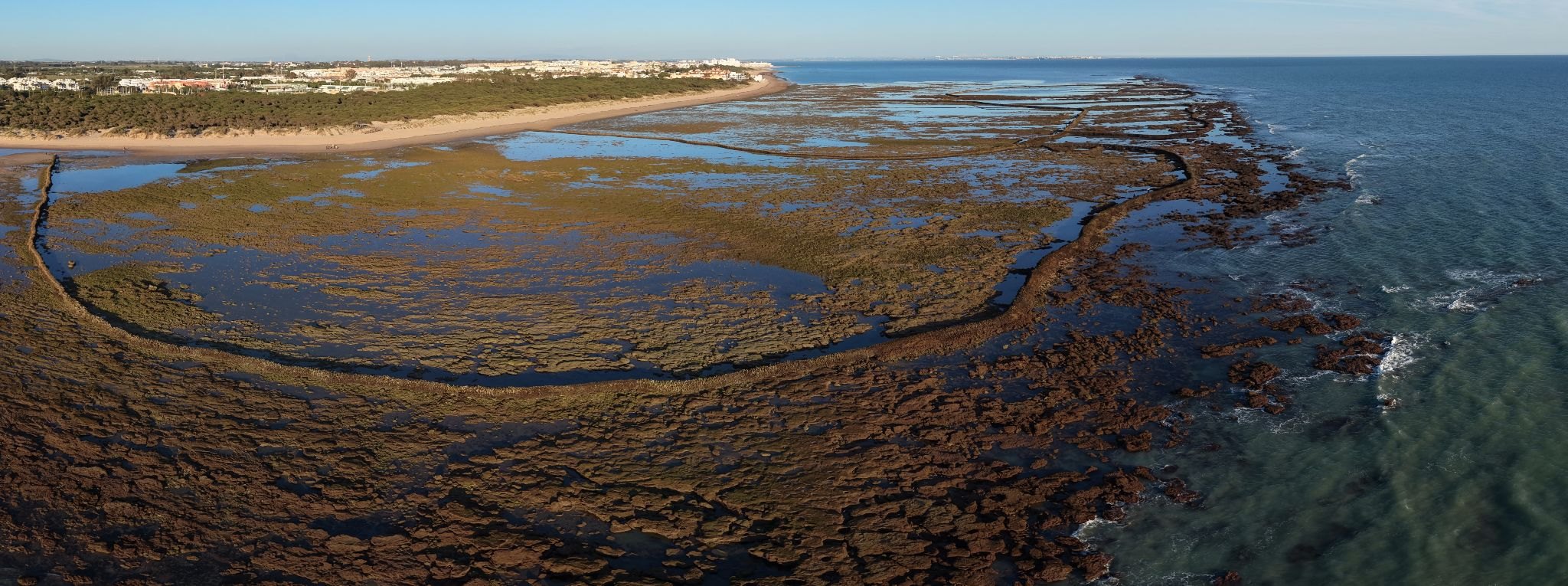 Panoramic aerial view of the corrales of Rota at low tide, with the pine wood and the town behind