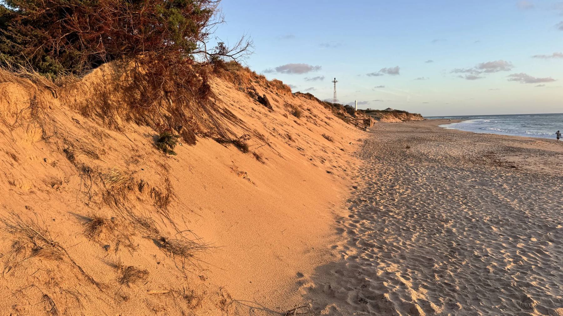 Bewachsene Dünenkante am Strand von Rota im Abendlicht