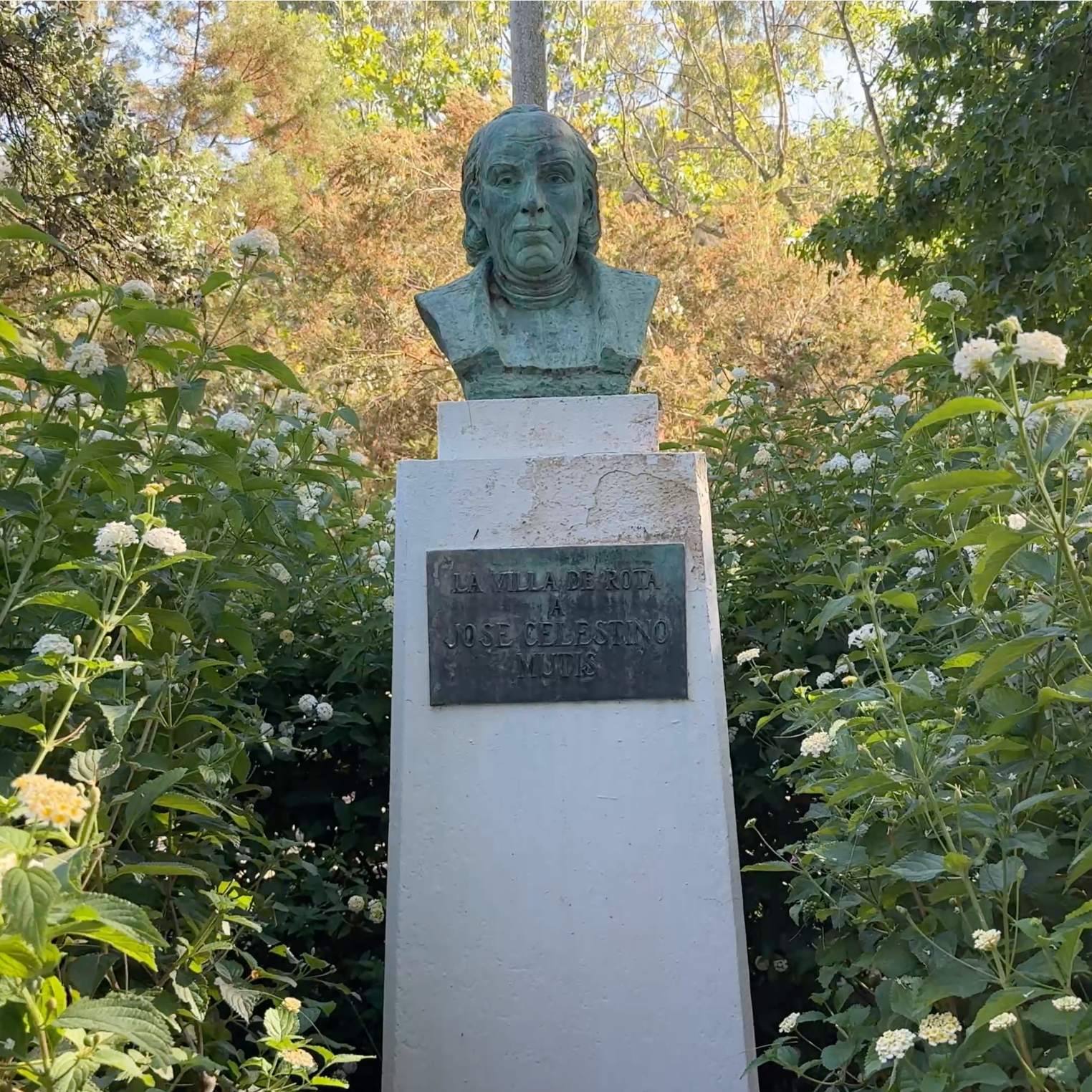 Busto de José Celestino Mutis entre la vegetación del jardín botánico de Rota
